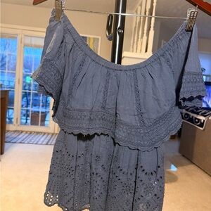 American Eagle Outfitters Blue Off-Shoulder Eyelet Ruffle Crop Top